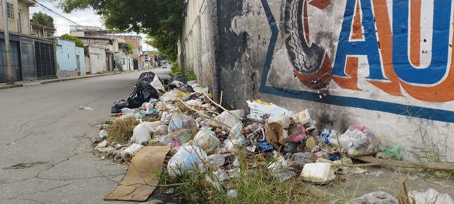 Acumulación de basura agobia a habitantes de la calle San Miguel - elsiglo 