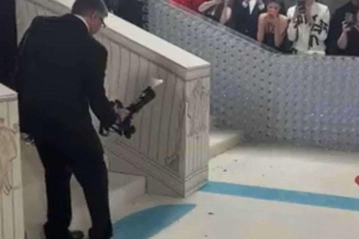 Video Una Cucaracha Desfil En La Alfombra De Los Met Gala