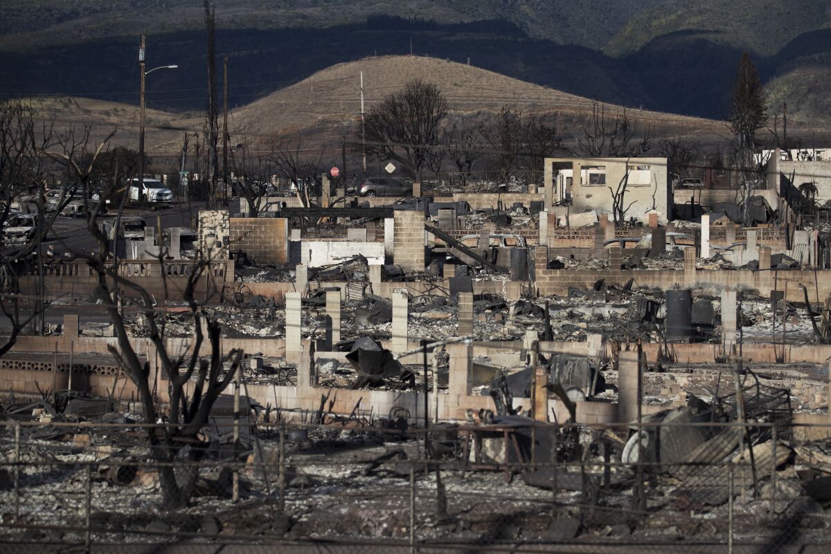 Al Menos Personas Han Muerto En Los Incendios En Maui