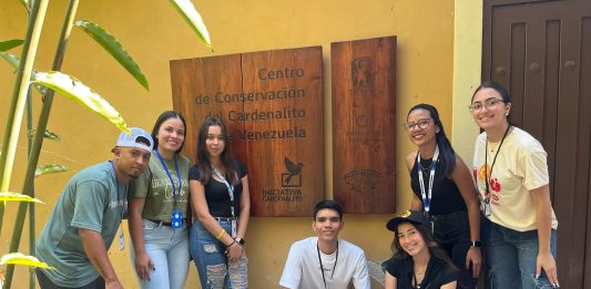 INFLUENCERS AMBIENTALES: Los guerreros de las redes Brindan posibilidades de concienciación masiva, ya que los influencers ambientales (como Greta Thunberg o cuentas como @earth) usan contenido visual (videos, infografías) para explicar crisis climática, contaminación o pérdida de biodiversidad.