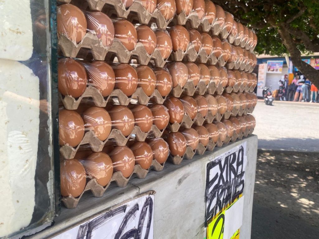 La venta de huevos se disparó en Samán de Güere elsiglo.com.ve
