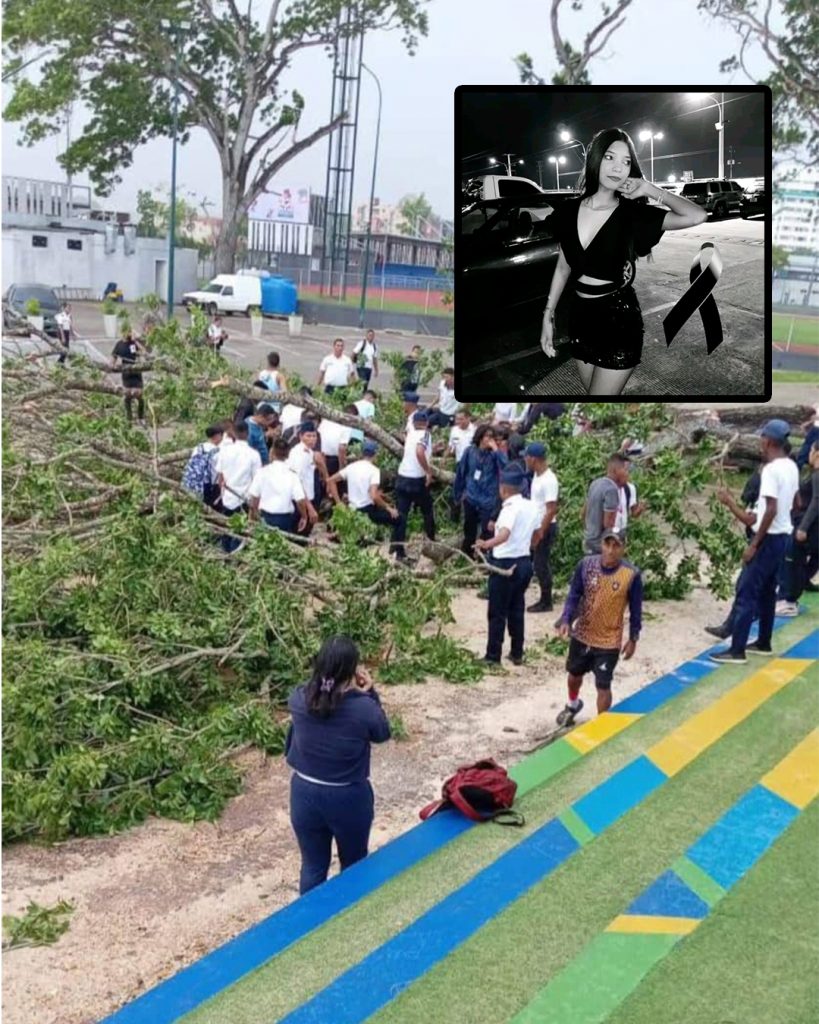 Murió estudiante de la Unerg tras caerle un árbol encima elsiglo.com.ve
