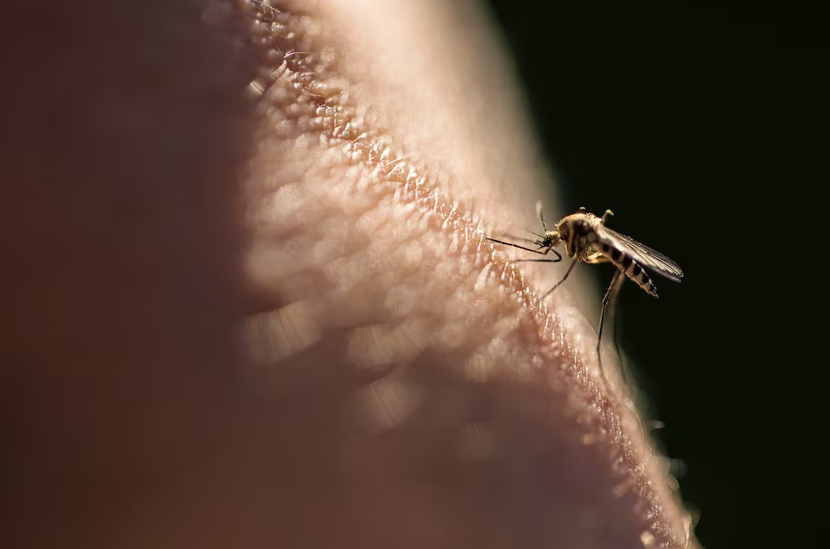 Un estudio muestra la eficacia de un medicamento para reducir la malaria en Kenia