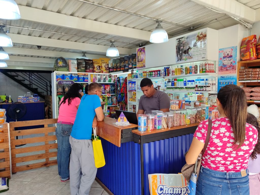 Los peludos también cuentan: mascotas, parte vital del hogar elsiglo.com.ve