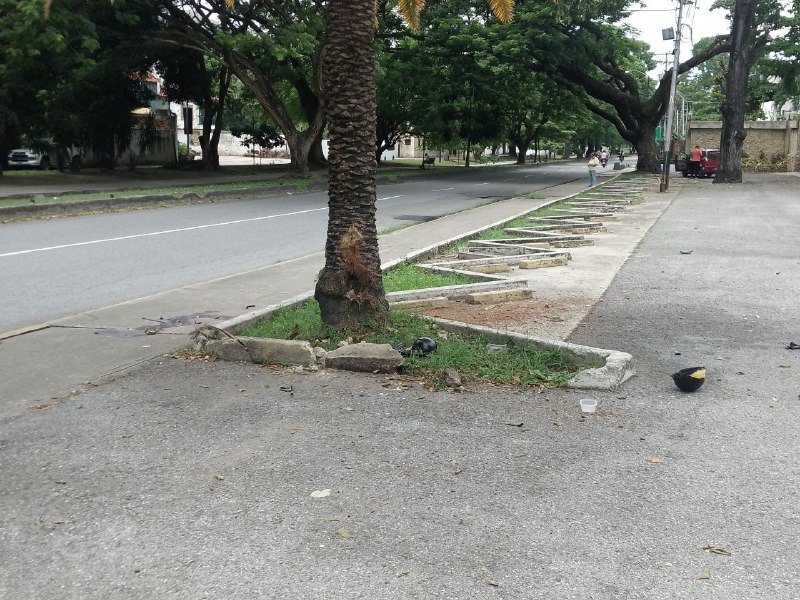 Murió joven tras chocar bruscamente contra un árbol elsiglo.com.ve