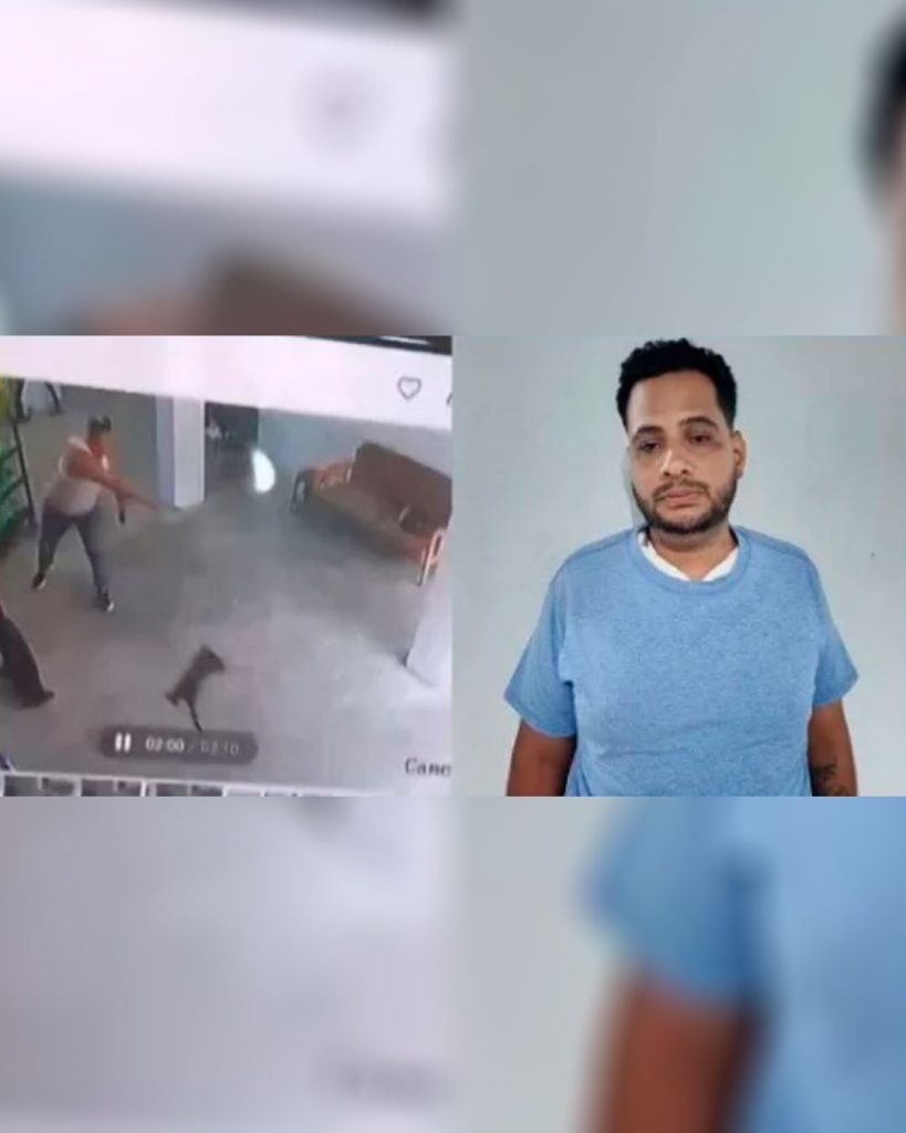 Imputaron a individuo por maltratar a un gato elsiglo.com.ve