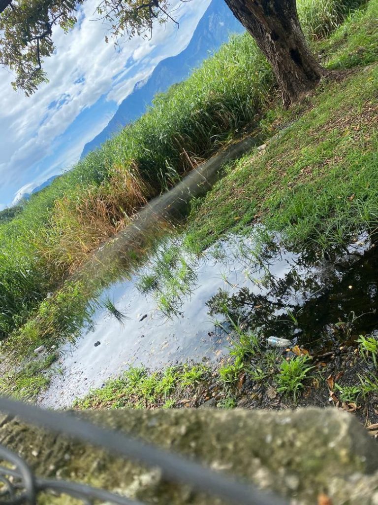 Laguna de aguas negras perjudica a vecinos de la UD-17 elsiglo.com.ve