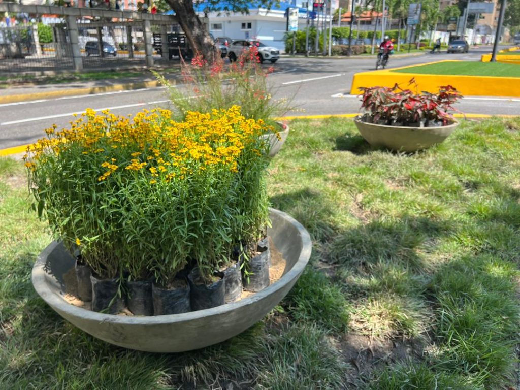 Avanza el plan de mejoramiento vial en la avenida Las Delicias elsiglo.com.ve