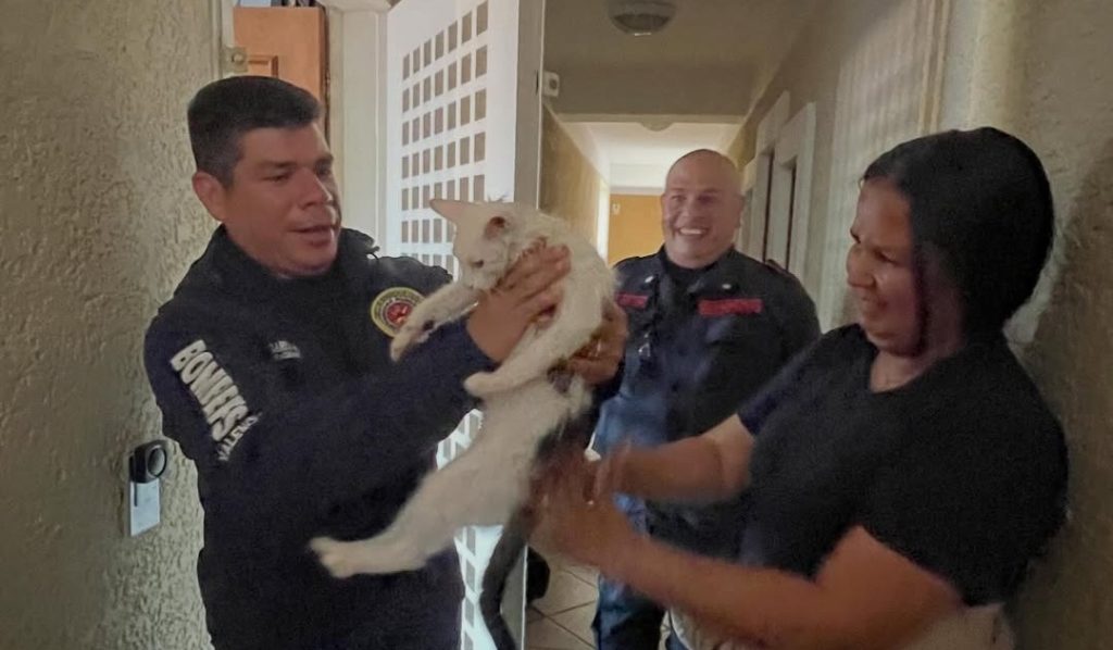 Bomberos de Valencia rescatan a un gato atrapado en una reja elsiglo.com.ve