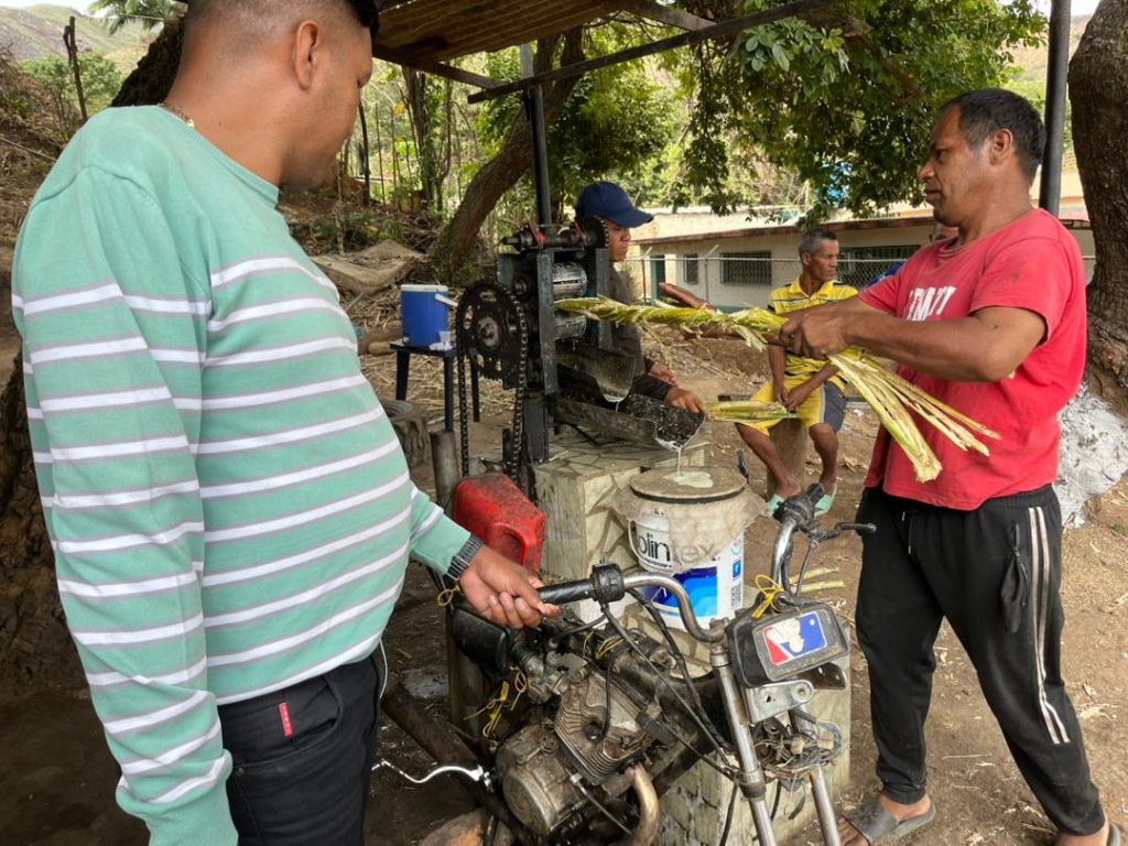 Aragüeños se reinventan para seguir ofreciendo los derivados de la caña elsiglo.com.ve