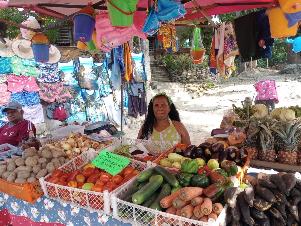 Carnaval 2026 representó una temporada de bonanza para los comerciantes elsiglo.com.ve