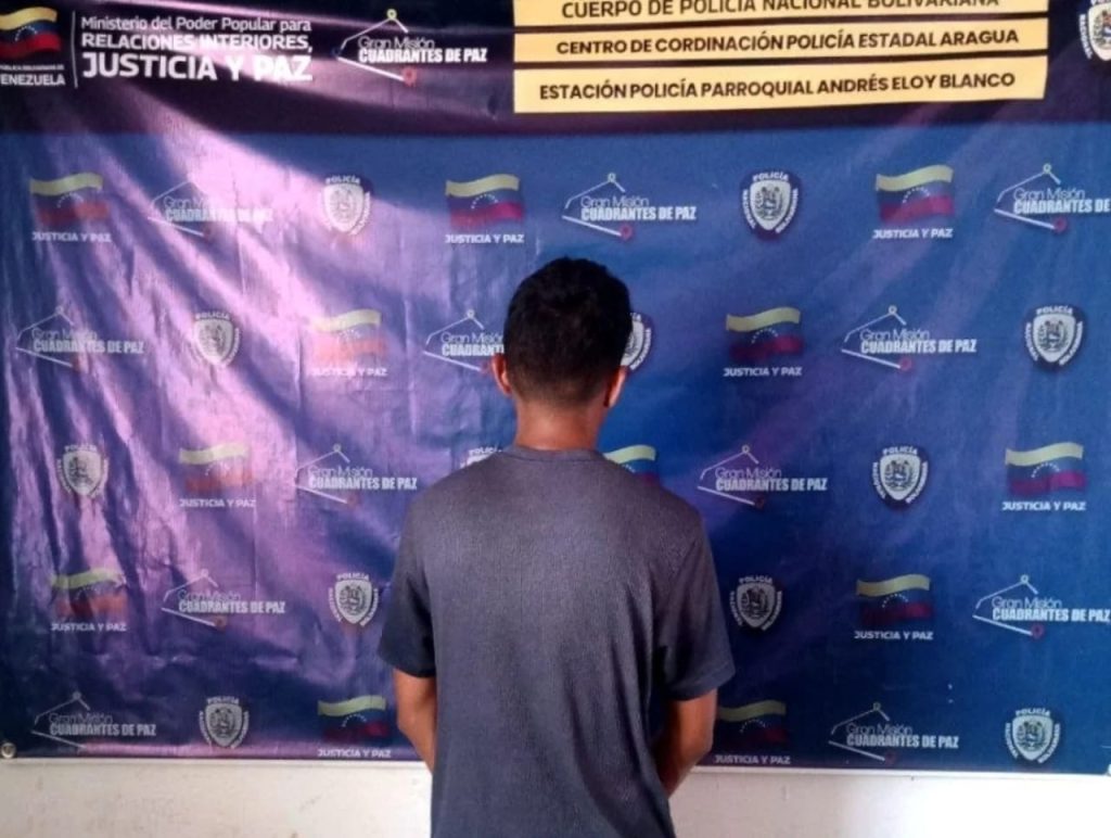 Hombre detenido por daños y violencia en Aragua elsiglo.com.ve