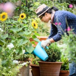 El árbol con más aroma del mundo: cómo cultivarlo en maceta y reinventar tu balcón El árbol con más aroma del mundo: cómo cultivarlo en maceta y reinventar tu balcón