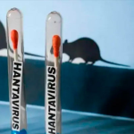 La OMS mantiene en once los casos de hantavirus y un riesgo bajo para la población La OMS mantiene en once los casos de hantavirus y un riesgo bajo para la población