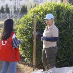 Mercado laboral en España se dispara con récord de 22,3 millones de Afiliados