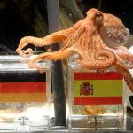 Recordando al Pulpo Paúl y al gato Aquiles