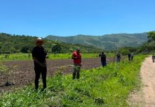 Más de 4 mil plantas fortalecen jornada de reforestación en el sector El Socorro
