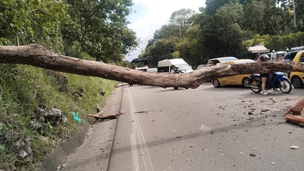 Dos muertos dejó colisión por árbol caído en Portuguesa