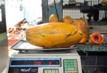 Sube el precio de la lechosa en Maracay Sube el precio de la lechosa en Maracay
