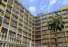 La emergencia silenciosa en Caña de Azúcar La emergencia silenciosa en Caña de Azúcar