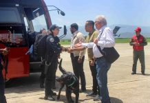 Delegaciones extranjeras se suman al rescate de víctimas del sismo Delegaciones extranjeras se suman al rescate de víctimas del sismo