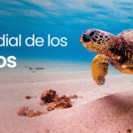 Piden más áreas marinas protegidas y el desarrollo del Tratado de Alta Mar