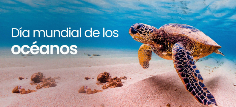 Piden más áreas marinas protegidas y el desarrollo del Trata