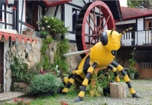 Donde las abejas cuentan una parte de la historia de Colonia Tovar