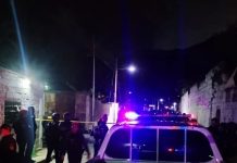 Autoridades confirmaron la baja de dos integrantes de «Los Guaricheros»