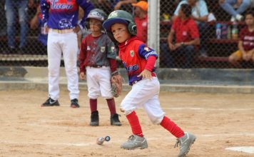 Liga Inces conquistó el Campeonato Estadal Sub-5 Liga Inces conquistó el Campeonato Estadal Sub-5
