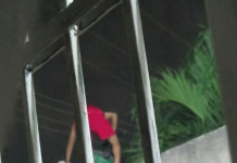 Reportan hurtos de viviendas en Las Acacias y Guasimal