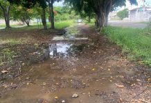 Alertan sobre bote de agua en hidrante tras los sismos