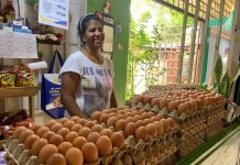 Ni la baja en el precio del huevo logra reactivar las ventas en Maracay