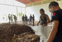 Joven productor apuesta por transformar el tabaco desde Revenga