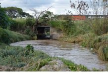 Vecinos rescataron a bebé de siete meses tras caer al río Los Guayos
