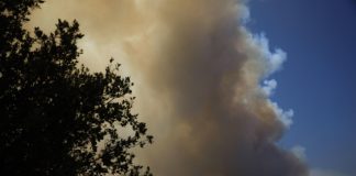 Siguen sin control los fuegos del centro de España y llegan a 15.000 hectáreas quemadas