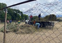 Comunidad universitaria de la UC revitaliza sus espacios
