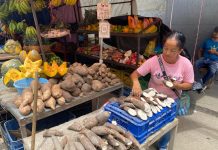 Sube el precio de las verduras en Palo Negro