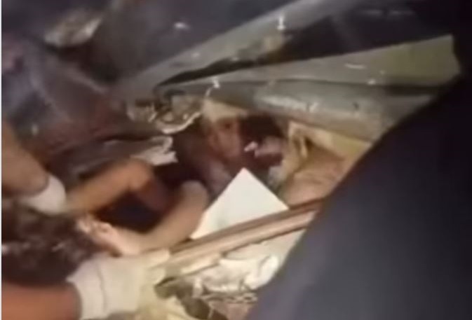 Madre y abuela dieron su vida por salvar a la niña elsiglo.com.ve