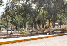 Sujetos asesinaron a un joven en la parroquia Bella Vista