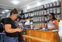 Venta de té de manzanilla se disparan después del doblete sísmico
