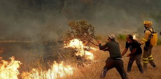 Incendios forestales obligaron a evacuar a más de 40.000 personas en España Incendios forestales obligaron a evacuar a más de 40.000 personas en España