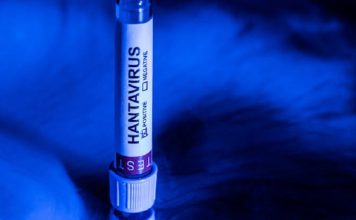 La OMS da por concluido el brote de hantavirus