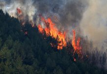 Al menos 11 fallecidos en voraz incendio en el sur de España Al menos 11 fallecidos en voraz incendio en el sur de España