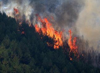 Al menos 11 fallecidos en voraz incendio en el sur de España Al menos 11 fallecidos en voraz incendio en el sur de España