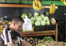 Precio del tomate se proyecta al alza por entrada de lluvias
