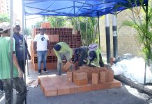 Unas 157 edificaciones ya tienen estatus verde en Maracay El alcalde de Girardot, Rafael Morales, encabeza las operaciones en el terreno que no se paró ni este domingo feriado. Explicó que un total de 157 edificaciones ya tienen el "estatus verde", lo que indica daños superficiales. Sin embargo, advirtió que la urgencia por regresar a los hogares no puede anteponerse al criterio de los ingenieros.